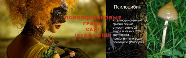 соль ск Алексеевка