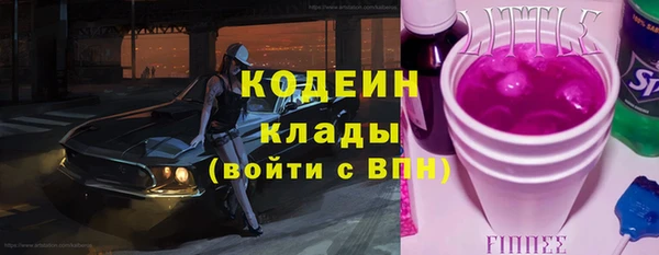 индика Абаза