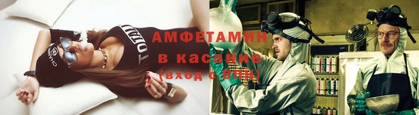 индика Абаза