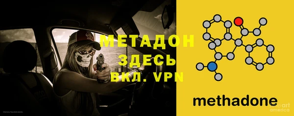 индика Абаза