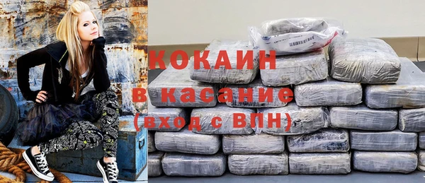 индика Абаза