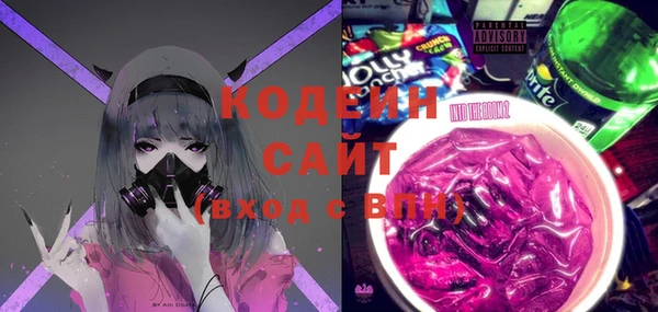 индика Абаза