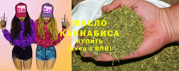 индика Абаза