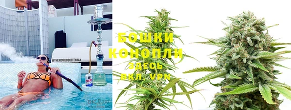 индика Абаза