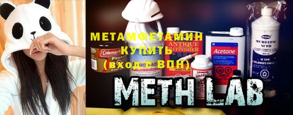 индика Абаза