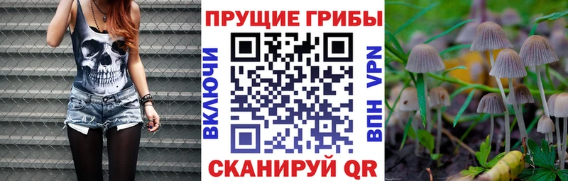 Галлюциногенные грибы Magic Shrooms  площадка формула  Вытегра 